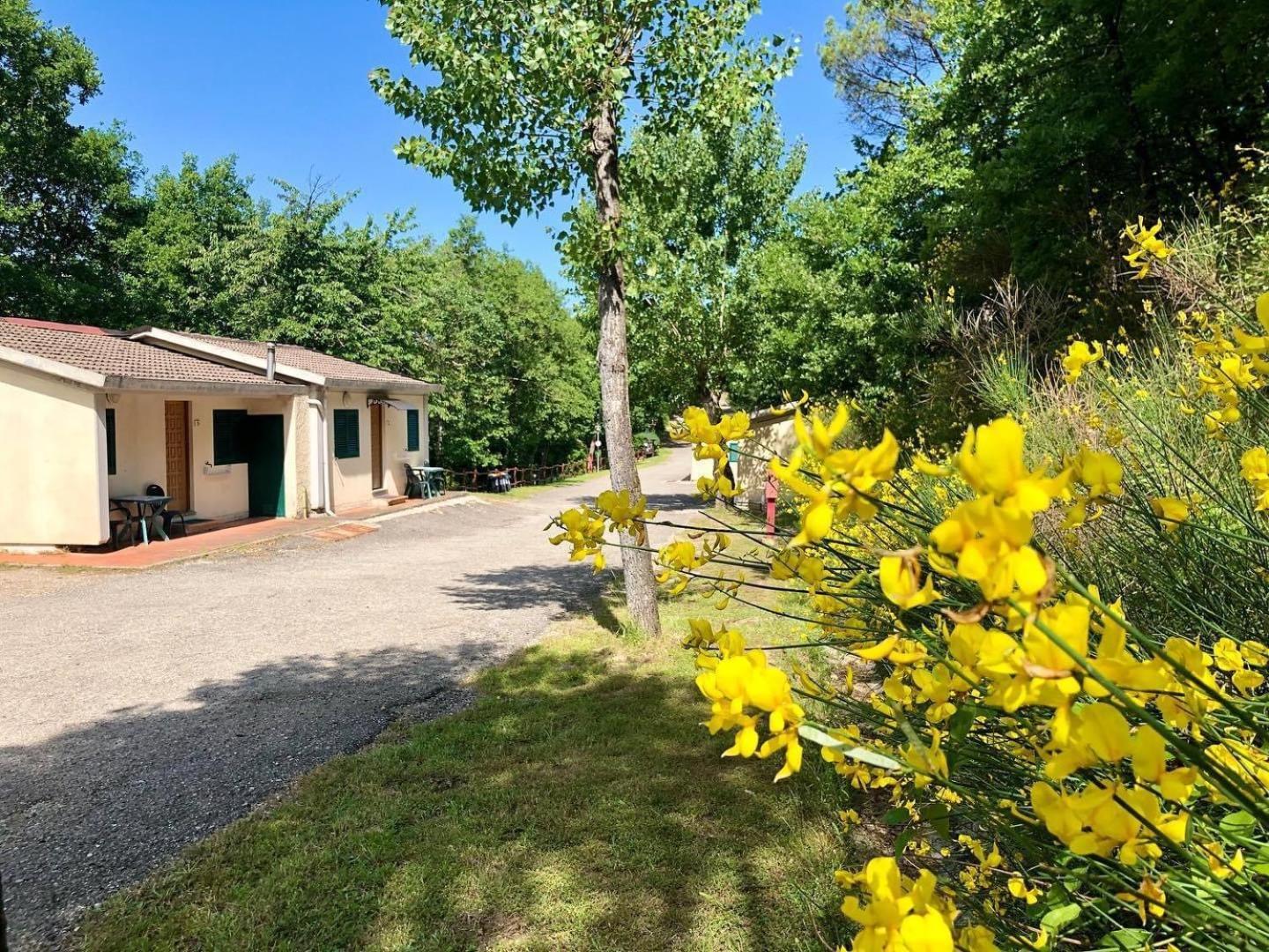 Camping Village Mugello Verde San Piero a Sieve Exterior photo